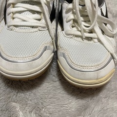 ミズノ　体育館シューズ　美品の画像