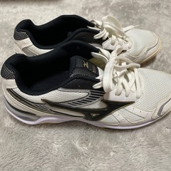 ミズノ　体育館シューズ　美品の画像