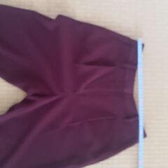 美品　PLST　パンツの画像