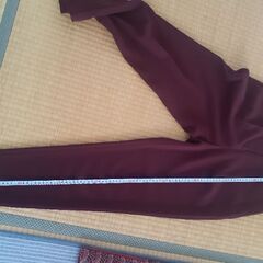 美品　PLST　パンツの画像