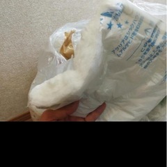 アクリア 断熱材
の画像