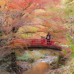 写真サークル：40代様からメンバー募集中です('ω')ノ