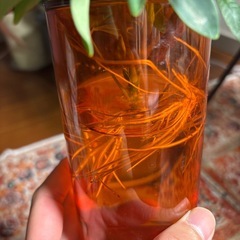 シェフレラコンパクタ　親株写真有りの画像