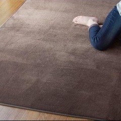 【売約済】新品未開封　ラグマット 3畳 200×250 ブラウン 防ダニ 滑り止め付 フランネル ホットカーペット 床暖房対応 の画像