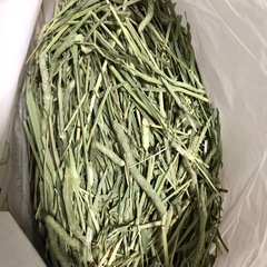 チモシー　600g×4袋＋開封済み1袋の画像