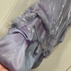 大人用パーティードレスの画像