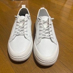 ファッションスニーカーの画像