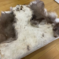 鹿毛皮　敷物　なめし皮の画像