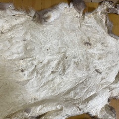 鹿毛皮　敷物　なめし皮の画像