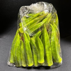 オクラ　約50本の画像