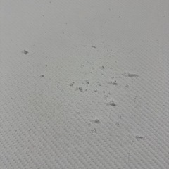 コアラマットレス　セミダブルの画像