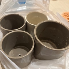 植木鉢　各300円の画像