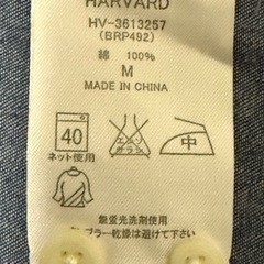 メンズボタンシャツ①
の画像