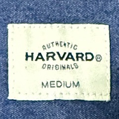 メンズボタンシャツ①
の画像