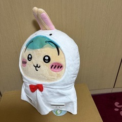 うさぎ耳付きぬいぐるみの画像