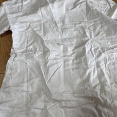 沖縄TシャツLサイズの画像