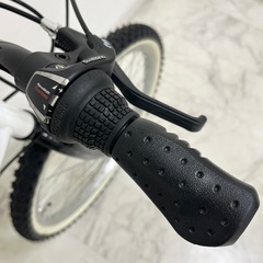 子供用自転車 22インチ GRAPHIS キッズサイクルの画像