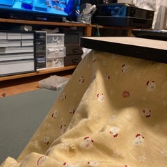 スノースパイク　Mサイズの画像