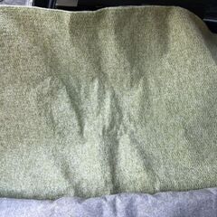 ニトリ　絨毯の画像