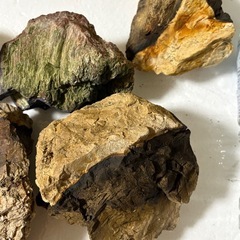 木化石　レイアウトロックの画像