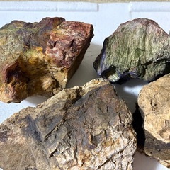 木化石　レイアウトロックの画像