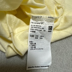 サイズ100のTシャツの画像