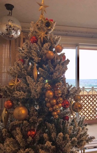 クリスマスツリー/ 大