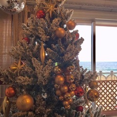 クリスマスツリー/ 大の画像