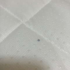 プッパプーポ　寝返りごろ寝マット120cm×120cm　の画像