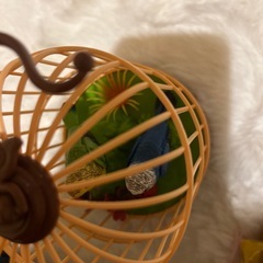 動いて鳴くおもちゃ🦜‬の画像