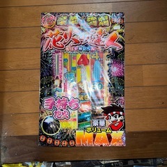 季節外れですが、手持ちの花火ですの画像