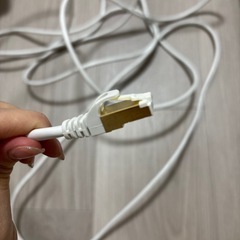 取引中LANケーブルの画像