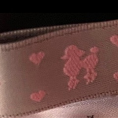 ジャケットの画像