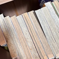 シャーマンキング　フェアリーテイルの画像