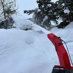 ヤナセ除雪機 810HST の画像