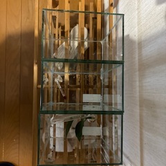 ベタ水槽✖️3個　の画像