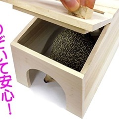 モルモットフード、ハウスの画像