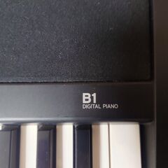 KORG B1 88鍵キーボード(スタンド付き)の画像