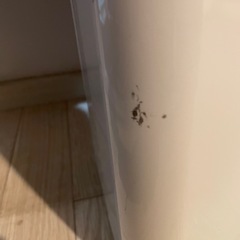 コンプレッサー式除湿機 6.5L 衣類乾燥除湿機　2021年製　アイリスオーヤマの画像