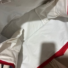 コストコ　保冷バッグの画像