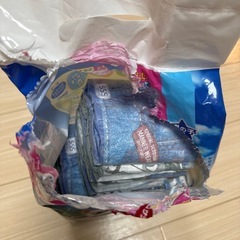 ペット　おむつおむつの画像