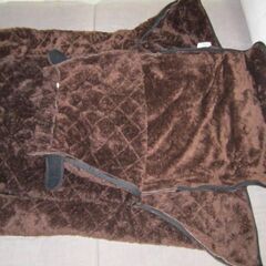 🍊こたんぽ激安価格の画像