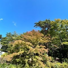 医療・福祉・保育・教育分野の人お友達になりませんか？