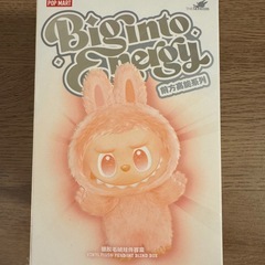 正規品❗️ラブブ　BiglntoEnergyの画像