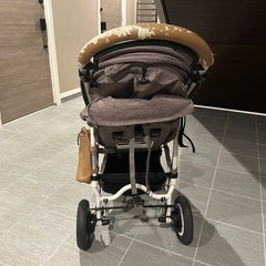 エアバギーの画像