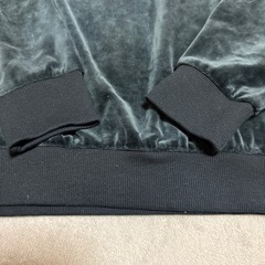 PUMAベルベットトレーナーの画像