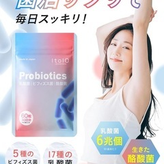 乳酸菌 ビフィズス菌 酪酸菌 サプリ （ 60粒 / 30日分) 国内製造の画像