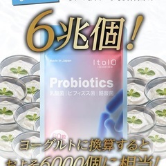 乳酸菌 ビフィズス菌 酪酸菌 サプリ （ 60粒 / 30日分) 国内製造の画像