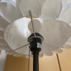 スタンドライト
の画像