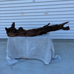 爬虫類などの飼育に止まり木と保温石などのセット除菌洗浄ずみ済みの画像